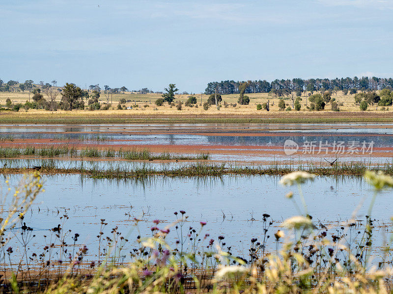 Dangar的泻湖景观- Uralla，新南威尔士州